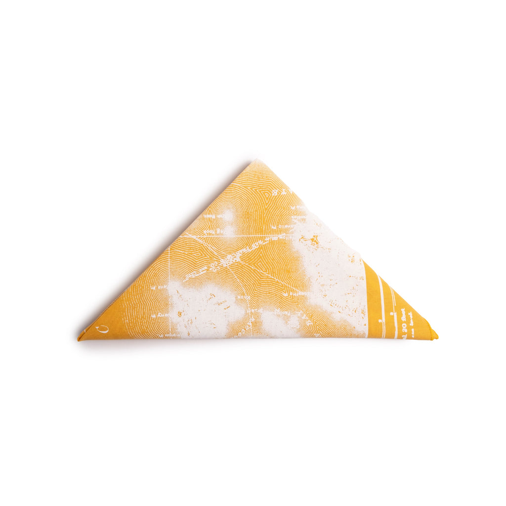 Topo Designs x Pine Printshop Local Bandana